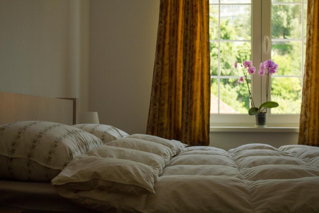 Avram Iancu Private Apartment With Ac 브라쇼브 외부 사진